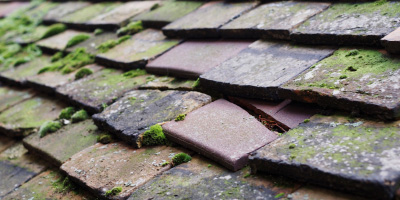 Aberaeron roof repair costs
